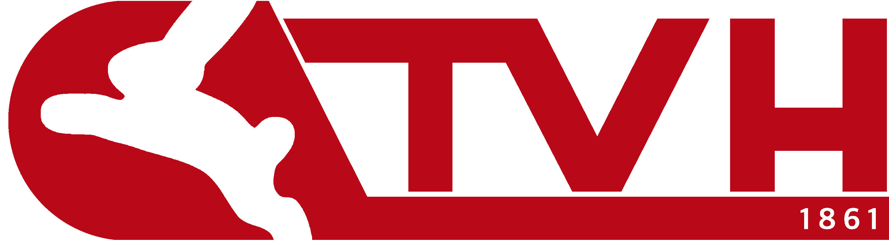 TV Haßfurt 1861